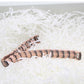 Pure Copper Bracelet with Double-Row Strong Adsorbable Iron