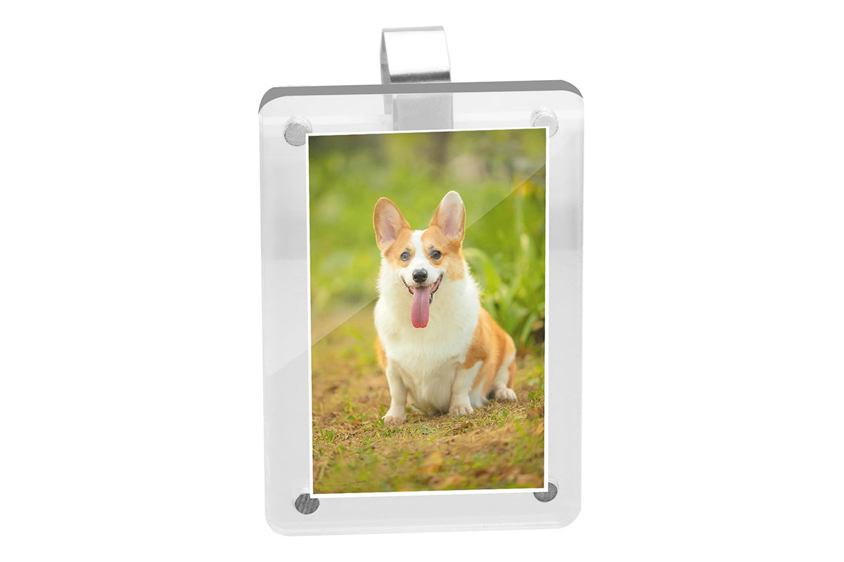 2PCS Clear Car Sun Visor Photo Holder Visor Picture Frame With Clips