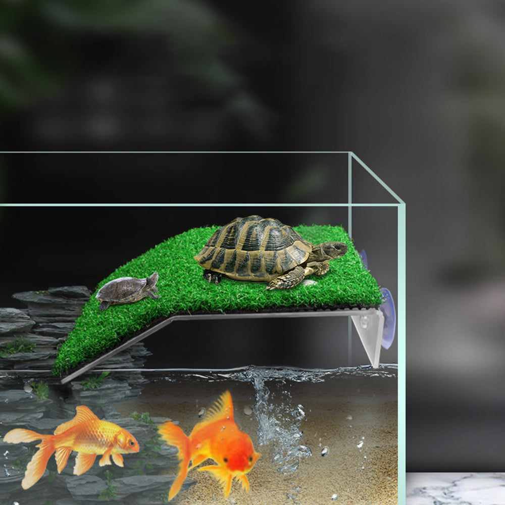 Cora Turtle Basking Platform Ramp Reptile Resting Terrace Simulation