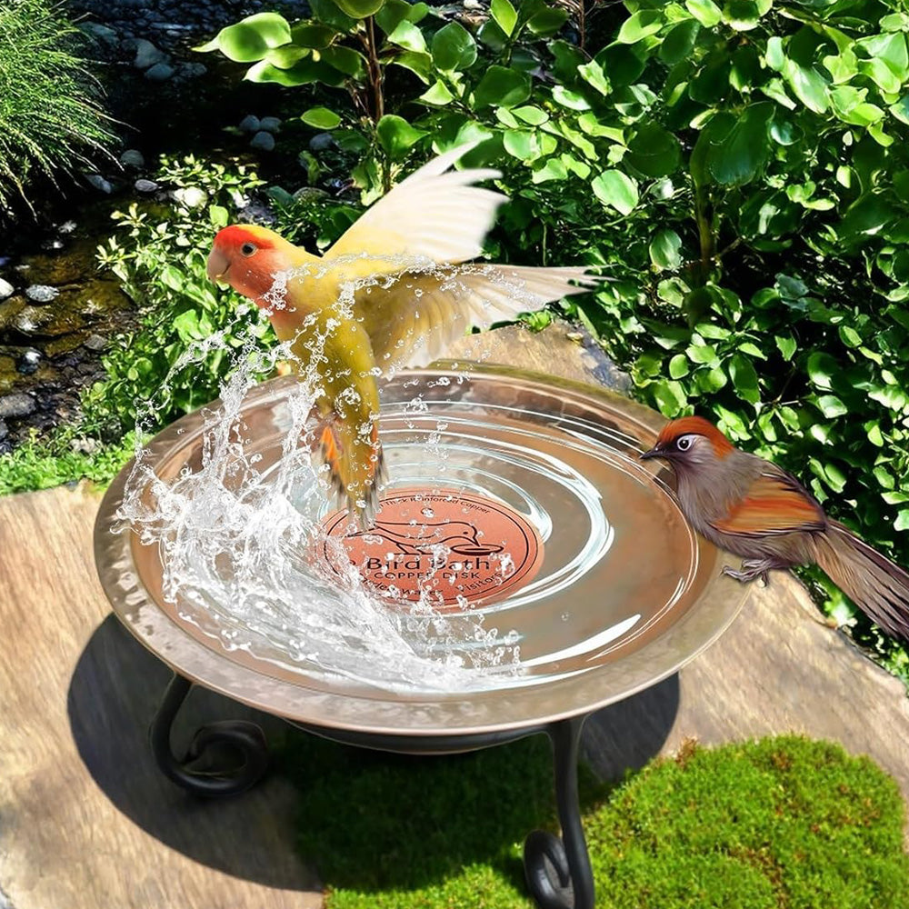 Copper Bird Bath Cleaning Disc for Outdoor Garden Use