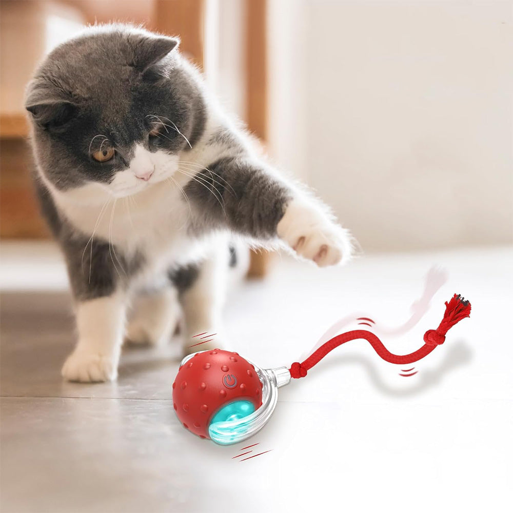 Automatic Rolling Ball Motion Activated Smart Rolling Cat Toy Ball
