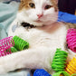40Pcs Colorful Plastic Spring Bouncy Coil Teasing Playing Cat Toy