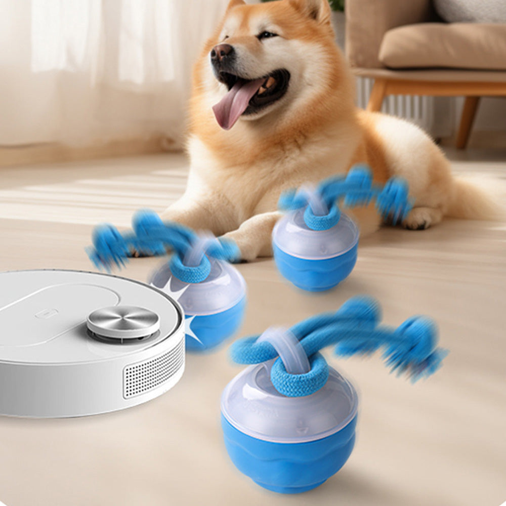 Interactive Dog Toys with Motion Activated Active Rolling Ball Wicked Ball
