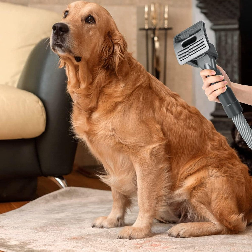 Dog Pet Grooming Vacuum Brush Kit for Dyson V6 Vacuum