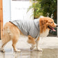 Warm Winter Pet Hoodie with Zipper Pockets