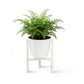 Plant Stand Indoor Adjustable Metal Heavy Duty Plant Stands Fits 23-32cm Pots