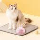 Recording Communication Button for Pet Training