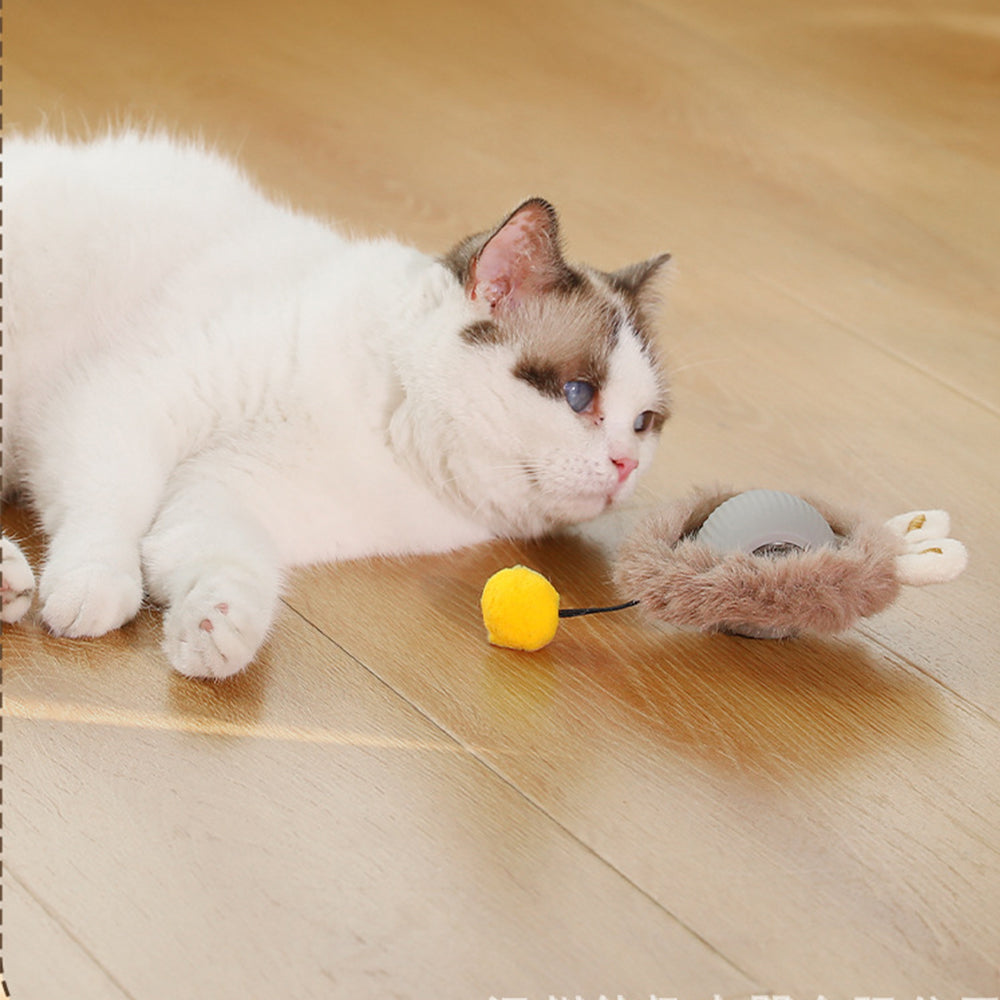 Interactive Cat Ball Toy Automatic Moving Cat Ball for Indoor Play