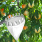 Fruit Picking Tool with Basket and Detachable Extended Handle