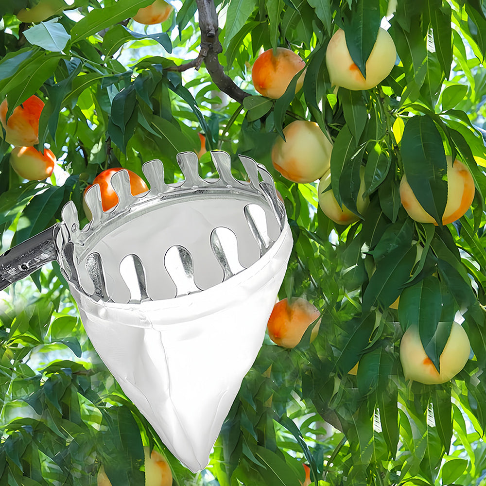 Fruit Picking Tool with Basket and Detachable Extended Handle