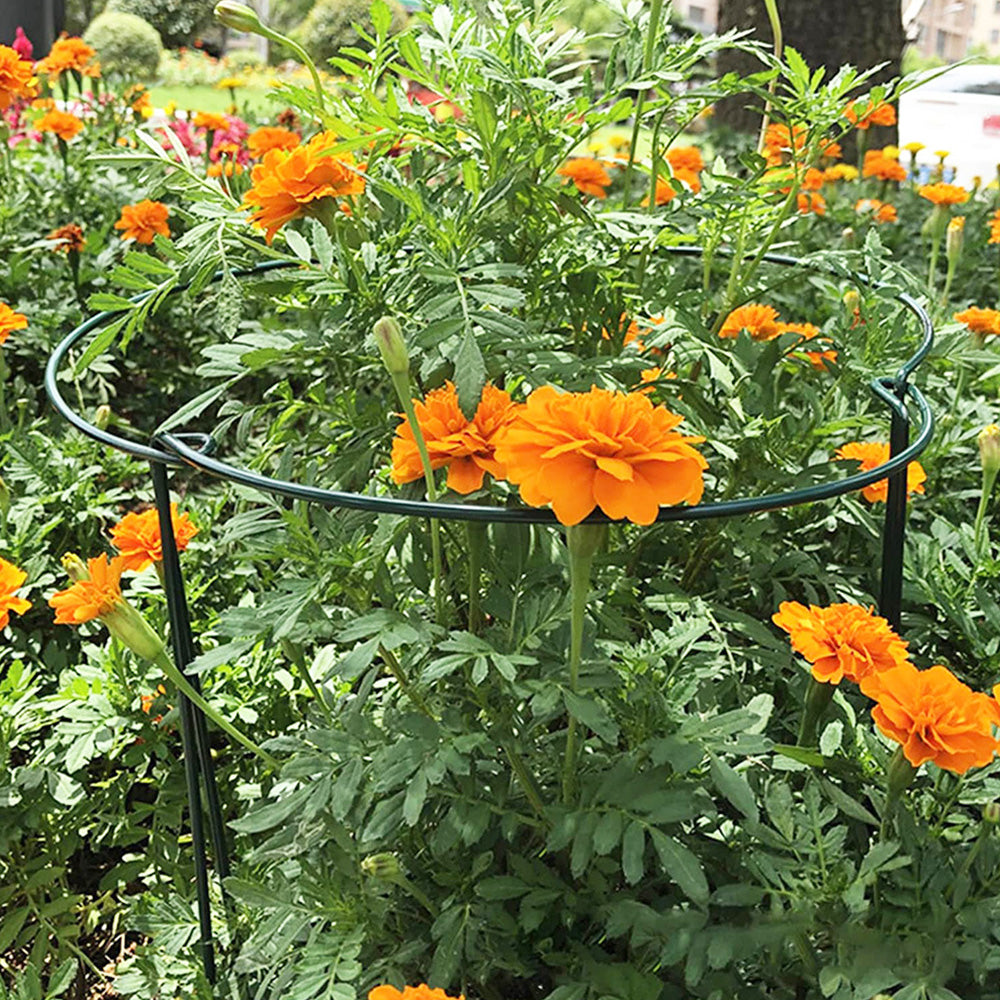 6PCS Plant Supports Stakes Half Round Garden Stakes Plant Support Green Plant Support Ring Border