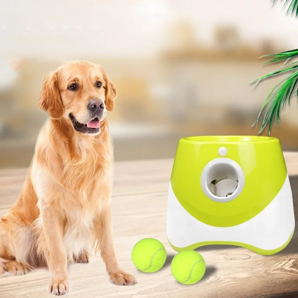 Pet Tennis Ball Toy Automatic Launcher Machine with 3 Balls