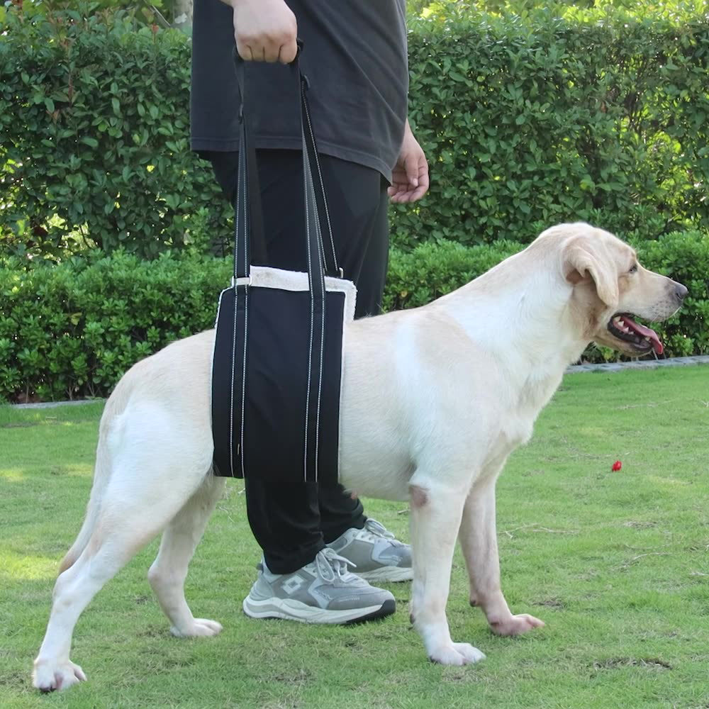 Portable Dog Back Legs Hip Support Sling For  Canine Aid and Rehabilitation