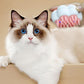 Electric Spray Cat Brush Pet Massage Comb with UV Light