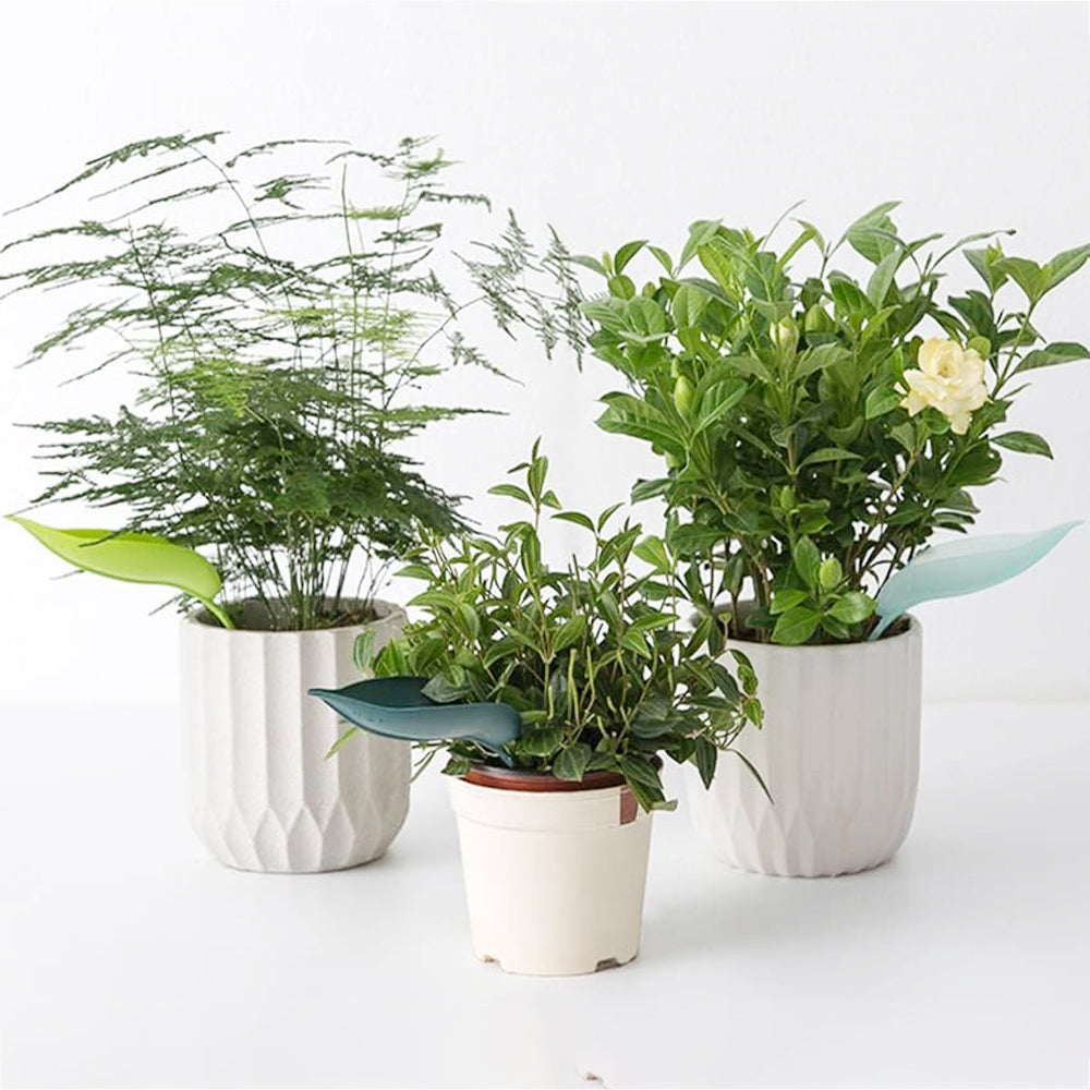 9Pcs Plant Pot Watering Funnel Color Leaf Plant Watering Devices Watering Spikes Plant Leaf Shape