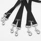 Dual Dog Leash with One Lead Coupler Nylon Harness