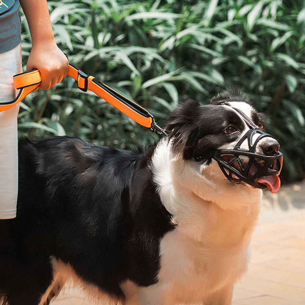 2Pcs Adjustable Pet Dog Anti Bark Mesh Mask