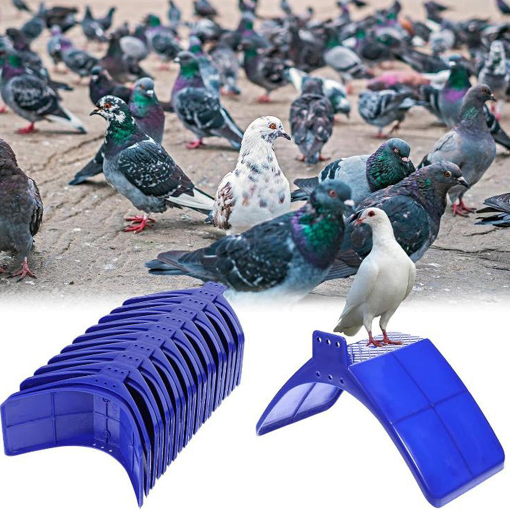 20 Pack Pigeon Dove Rest Stand Frame Dwelling Perches Roost Bird Supplies Set