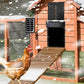 Solar Automatic Open Close Chicken Coop Door with Timer Light Sensor