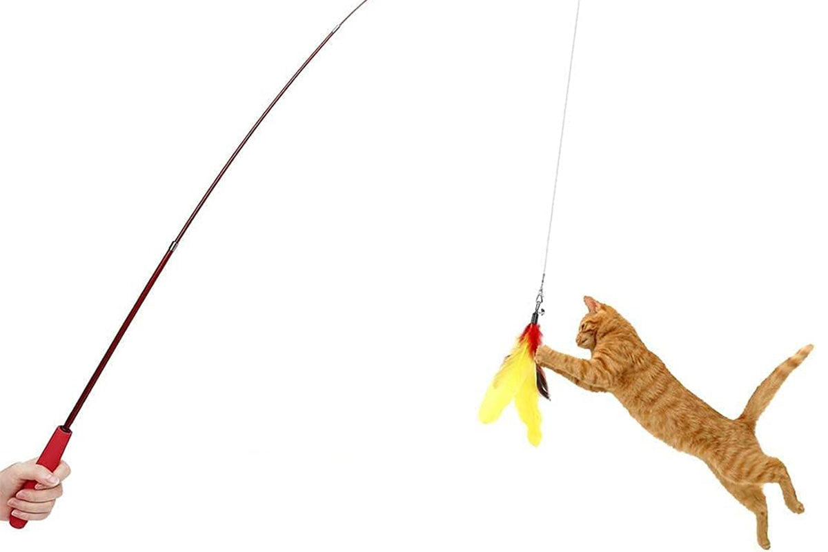 Interactive Cat Toy Set Telescopic Cat Wand with Feather Replacement Pack for Indoor Cat Play