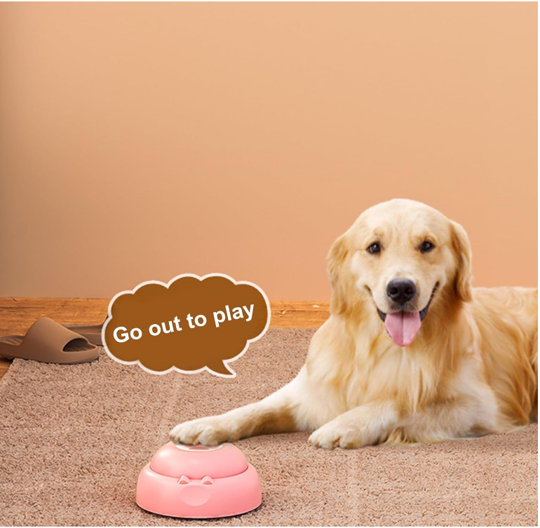 Recording Communication Button for Pet Training