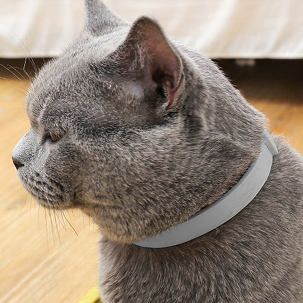 4Pcs 63cm Adjustable Design Collar for Pets