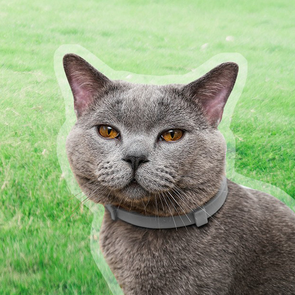 4Pcs 63cm Adjustable Design Collar for Pets