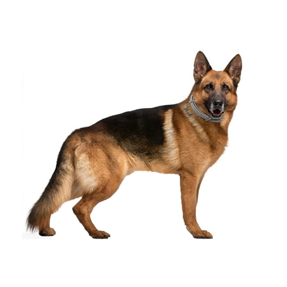 4Pcs 63cm Adjustable Design Collar for Pets