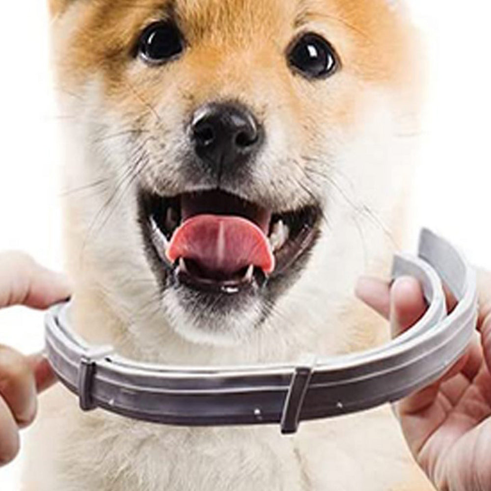 4Pcs 63cm Adjustable Design Collar for Pets