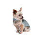 2Pcs 63cm Adjustable Pets Collar
