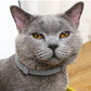 4Pcs 63cm Adjustable Design Collar for Pets