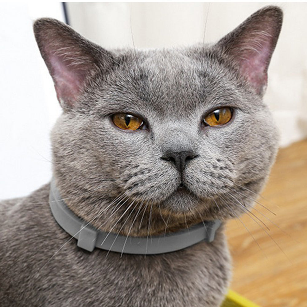 4Pcs 63cm Adjustable Design Collar for Pets