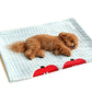 Pet Blanket U-Shaped Pillow Set Sherpa Fleece Warm Pet Throw Blanket Bed Mat for Dog Cat
