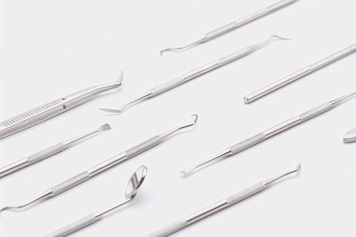 Professional Dental Tool Kit 6 Piece Stainless Steel Oral Care Set