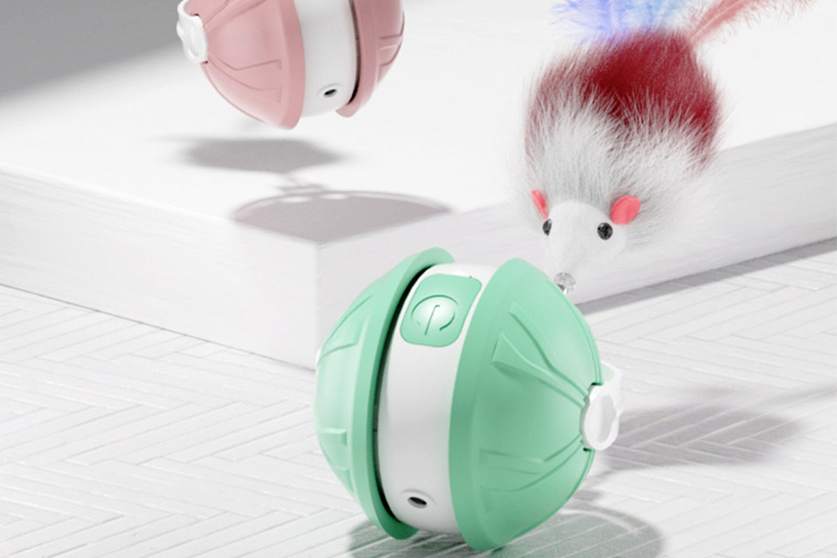 Interactive Dog Toys Electric Automatic Smart Pet Toys Rolling Ball Toys For Small Dogs