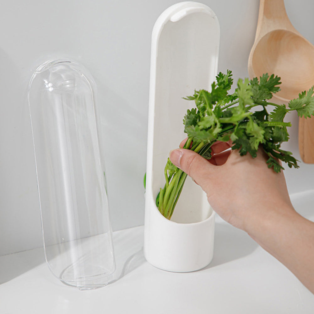 Herb Vegetable Saver for Refrigerator