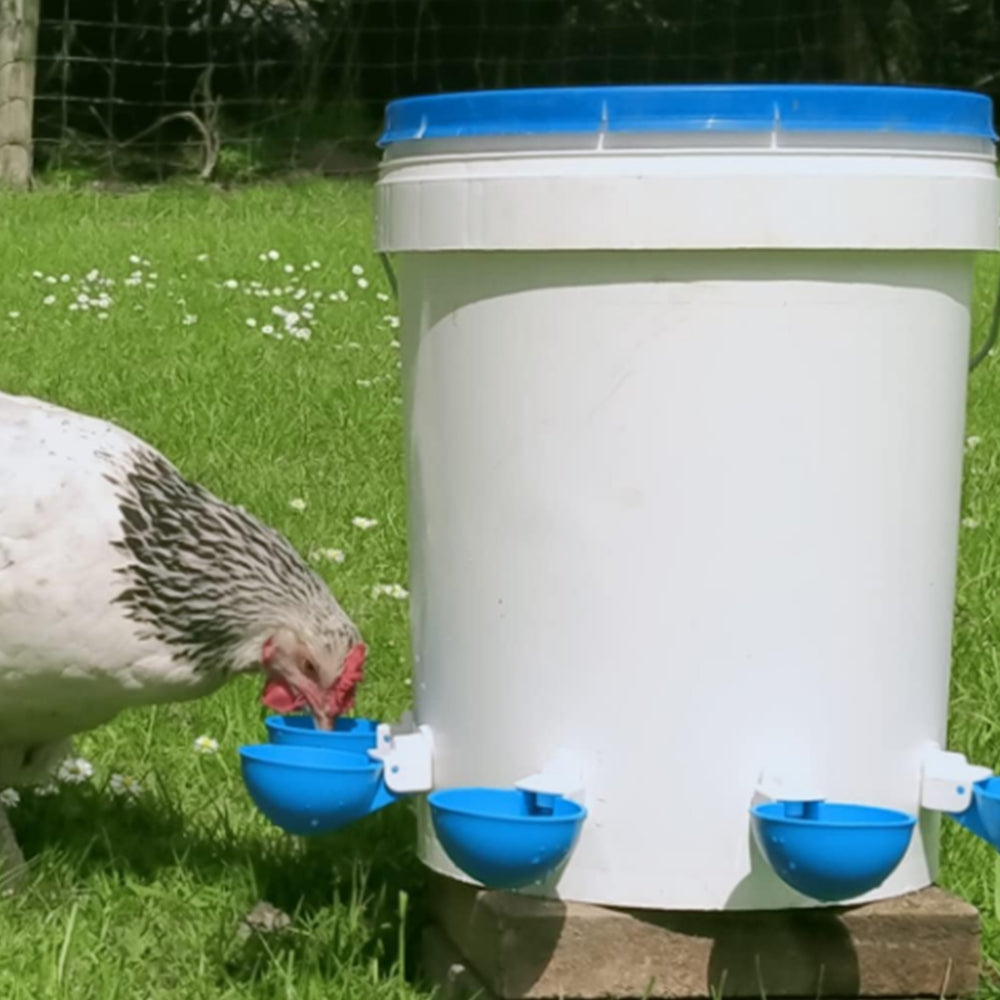 10Pcs Automatic Chicken Drinking Bowl Feeder