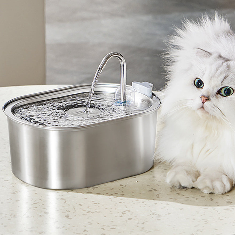 Electric Pet Water Dispenser Cat Dog Fountain 3L Drinking Automatic Sensor