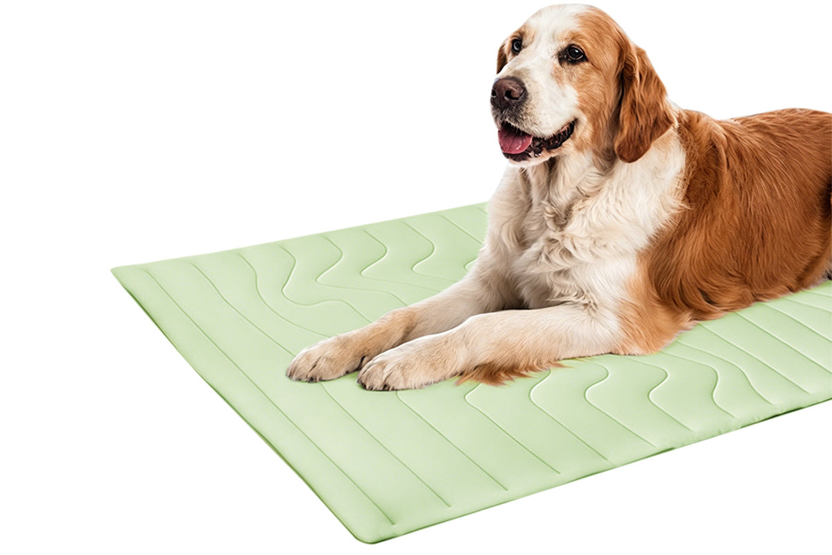 Scratch Resistant Summer Cooling Mat for Pet