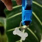 Adjustable Dog Collar with Bone Pendant Nylon Puppy Collar for Small Dogs