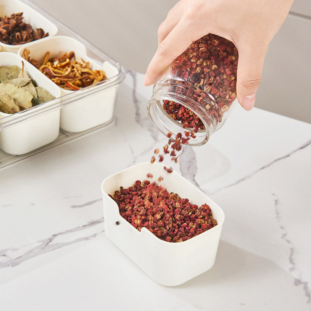 Divided Serving Tray with Lid