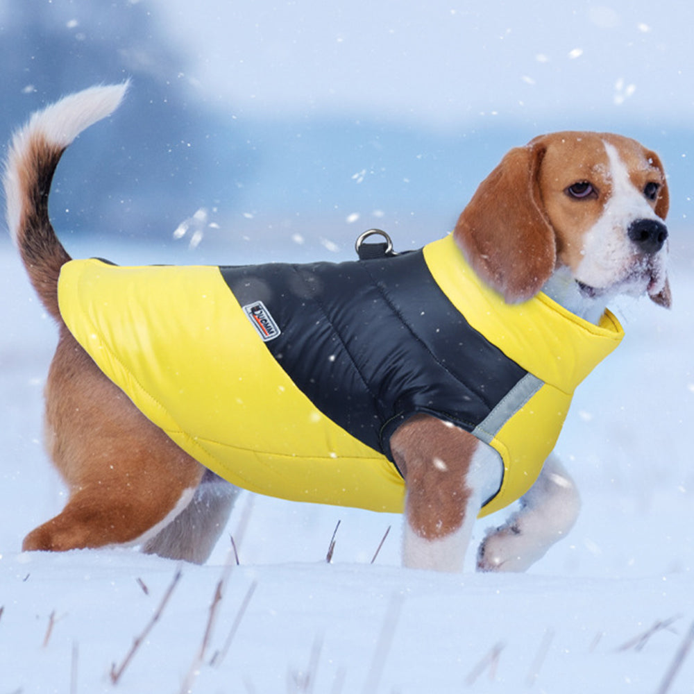 Pet Winter Warm Coat with Reflective Padded