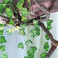 12 X 2M Artificial Ivy Vine Garland Fake Foliage Hanging Leaf Plant for Home Garden Party