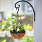 10 Pack Hanging Hooks for 18cm Pots Black