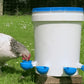 5Pcs Automatic Chicken Drinking Bowl Feeder