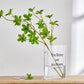 Plastic Clear Book Vase for Flowers Bookshelf Vase Decoration-Clear