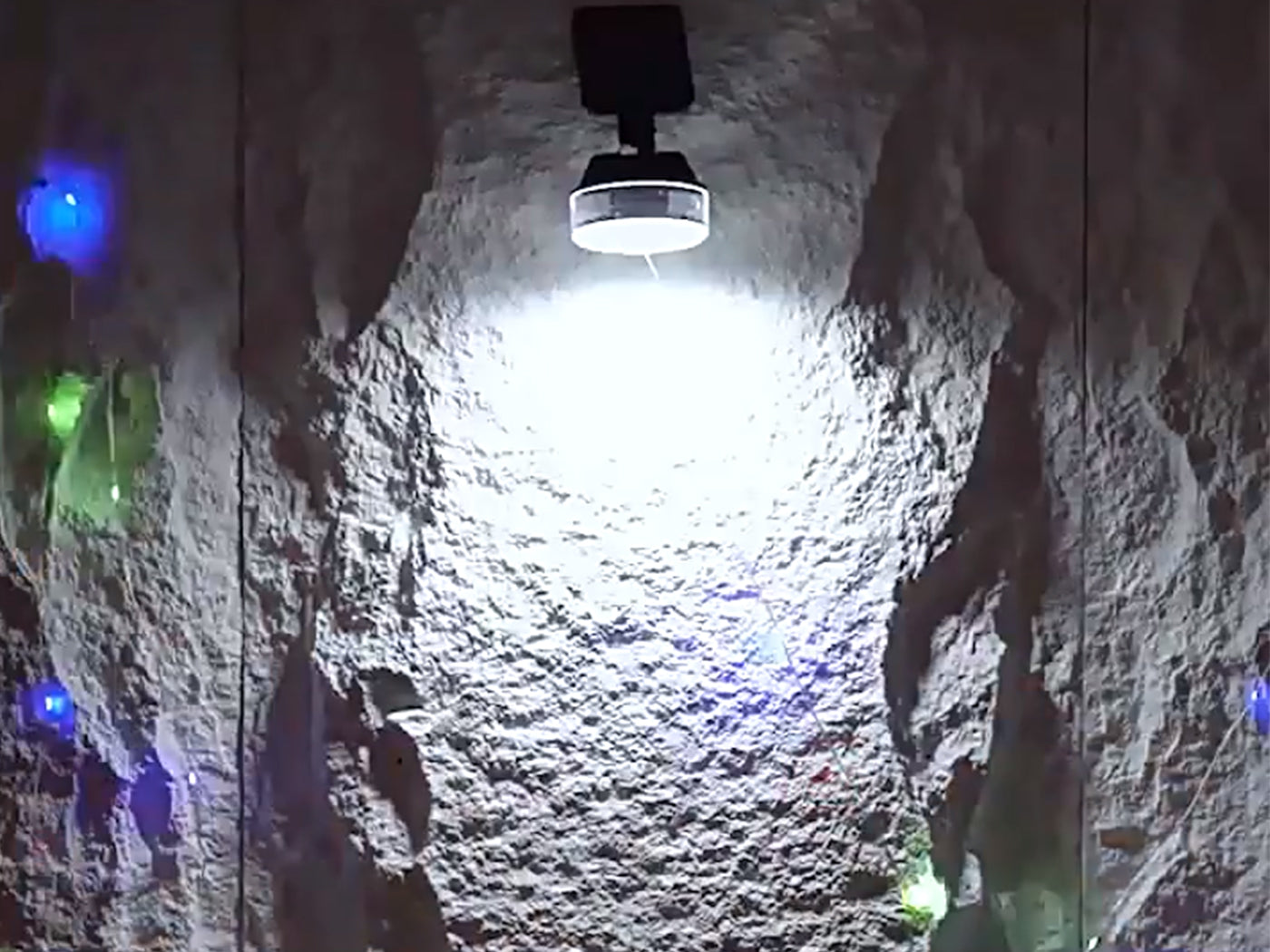Motion Sensing Solar Wall Light with String Light