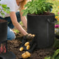 2X15 Gallon Potato Grow Bags with Dual Harvest Window Visible Window Non-Woven Planter Pot