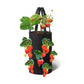 2Pcs 3 Gallon Grow Bag for Strawberry Vegetables with 12 Planting Holes