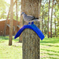 10 Pack Pigeon Dove Rest Stand Frame Dwelling Perches Roost Bird Supplies Set